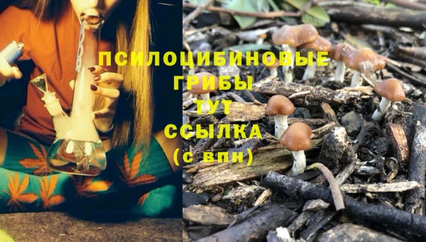 бутират Красноперекопск