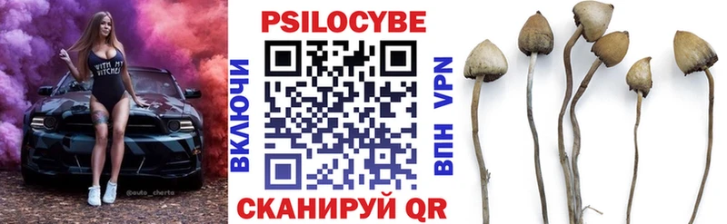 Псилоцибиновые грибы Psilocybe  купить закладку  Шенкурск 